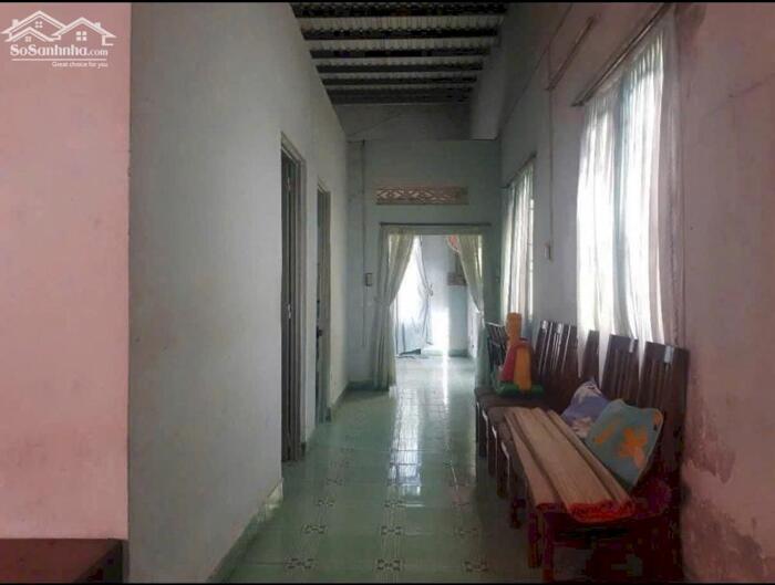 Hình ảnh 452m2 Thổ Cư( 21x21 )vuông vức. Tân Triều. phân lô tách thửa được 5 lô 1