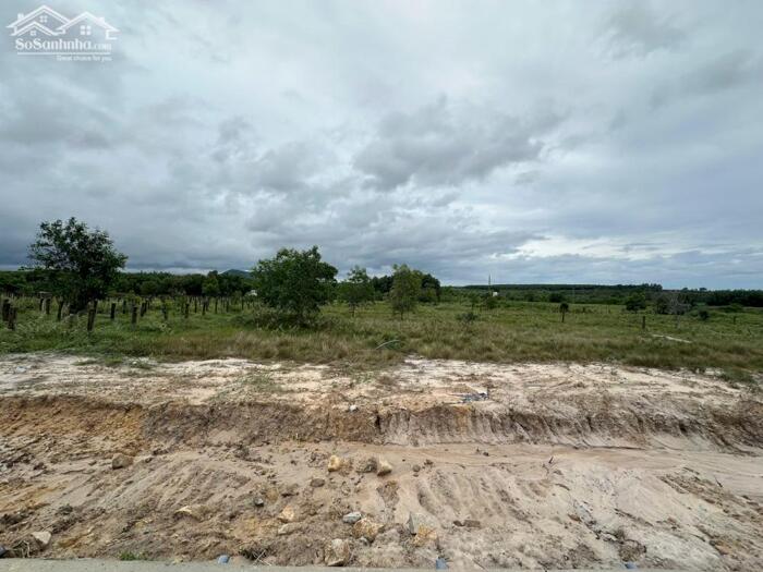 Hình ảnh 28x81(2301m2) Lê Đức Thọ Tân Bình LaGi Quy Hoạch Đất Ở, Mặt Tiền Đường Nhựa 2