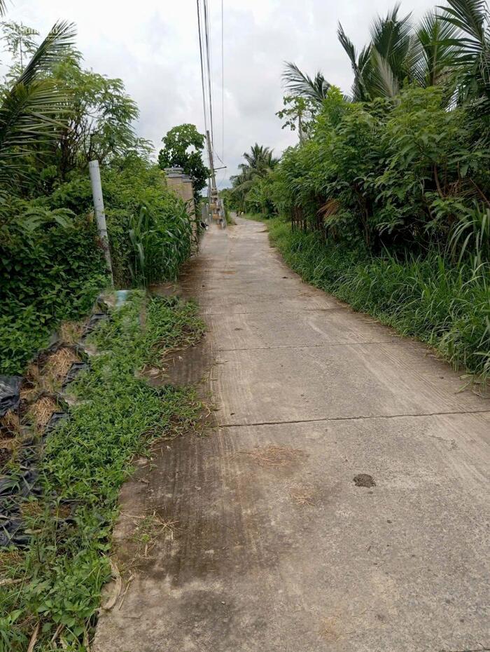 Hình ảnh B.á.n (10x50) đất nền đẹp , ôtô kênh Trần Văn Dõng – Chợ Tân Điền, GCĐ, TG cũ 2