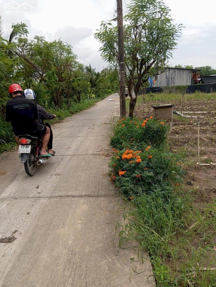 Hình ảnh B.á.n (10x50) đất nền đẹp , ôtô kênh Trần Văn Dõng – Chợ Tân Điền, Gò Công Đông, TG cũ 0