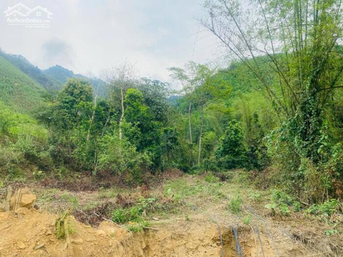 Hình ảnh BÁN LÔ ĐẤT VIEW ĐẸP – GIÁ TỐT TẠI KIM BÔI – HÒA BÌNH 3