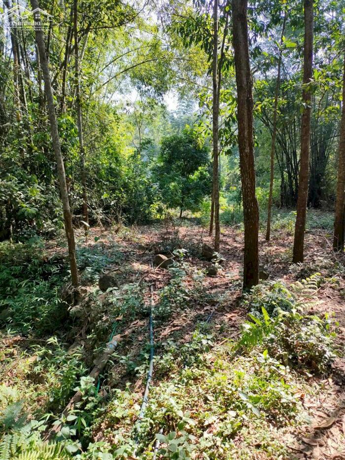 Hình ảnh BÁN LÔ ĐẤT VIEW ĐẸP – GIÁ TỐT TẠI KIM BÔI – HÒA BÌNH 0