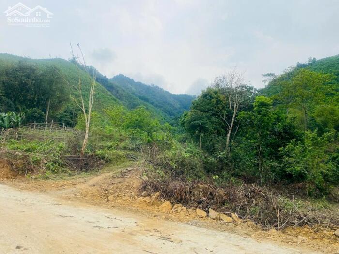 Hình ảnh BÁN LÔ ĐẤT VIEW ĐẸP – GIÁ TỐT TẠI KIM BÔI – HÒA BÌNH 4