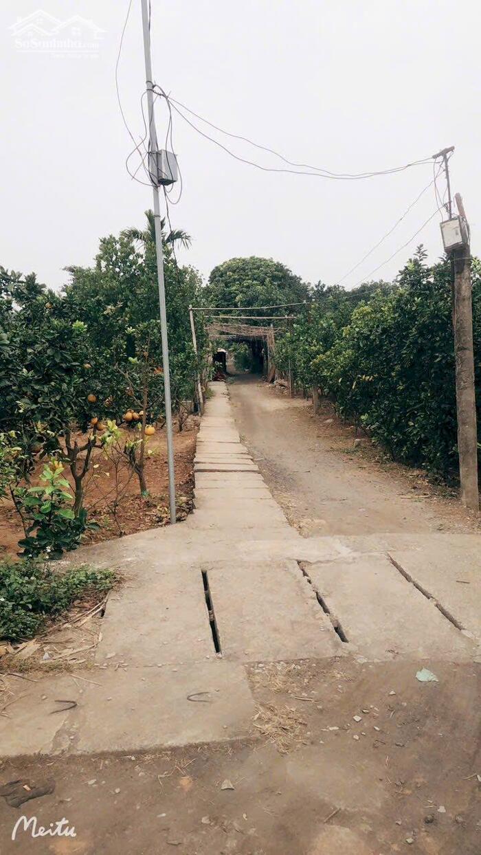 Hình ảnh BÁN ĐẤT VƯỜN BƯỞI PHÚC DIỄN, BẮC TỪ LIÊM GIÁ CHỈ BẰNG CĂN CHUNG CƯ 4