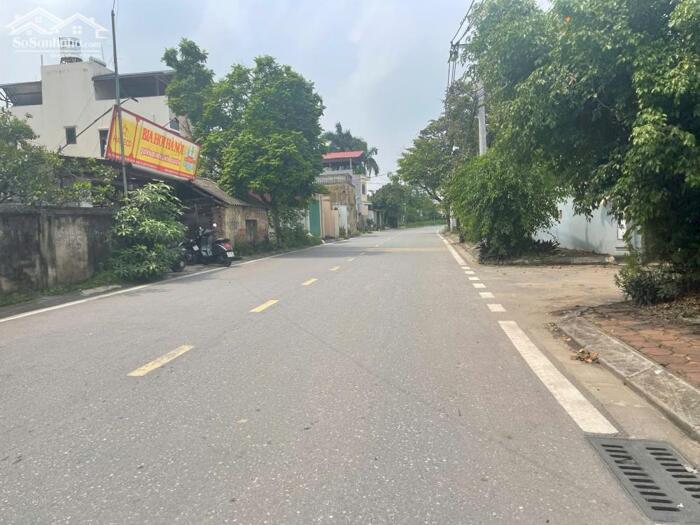 Hình ảnh Bán 97,5m đất mặt đường Ngọc Động, Đa Tốn, vị trí có thể kinh doanh kho bãi, nhà xưởng, cửa hàng 3