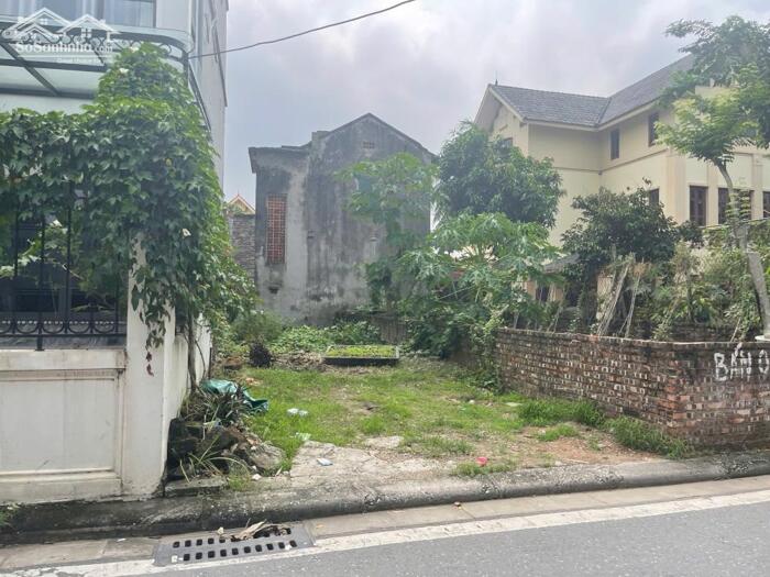 Hình ảnh Bán 97,5m đất mặt đường Ngọc Động, Đa Tốn, vị trí có thể kinh doanh kho bãi, nhà xưởng, cửa hàng 0