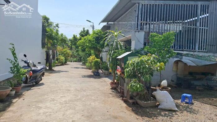 Hình ảnh Bán Lô Đất Võ Cạnh – Vĩnh Trung – Tây Nha Trang 147m2 5