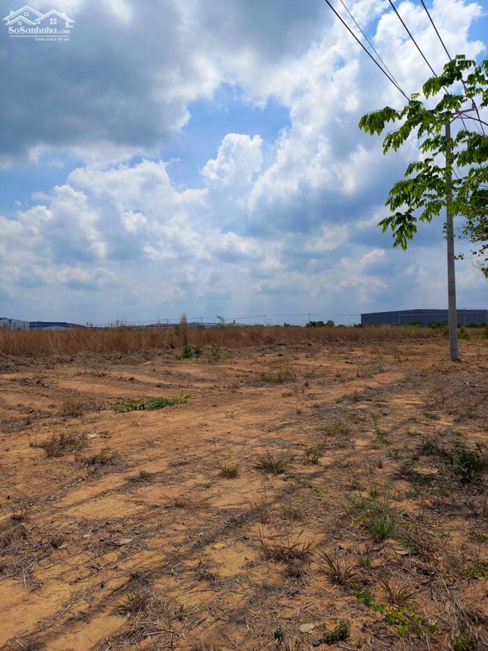Hình ảnh Bán đất xây dựng xưởng 80.000m2 KCN Lộc An Bình Sơn, Long Thành, Đồng Nai 1