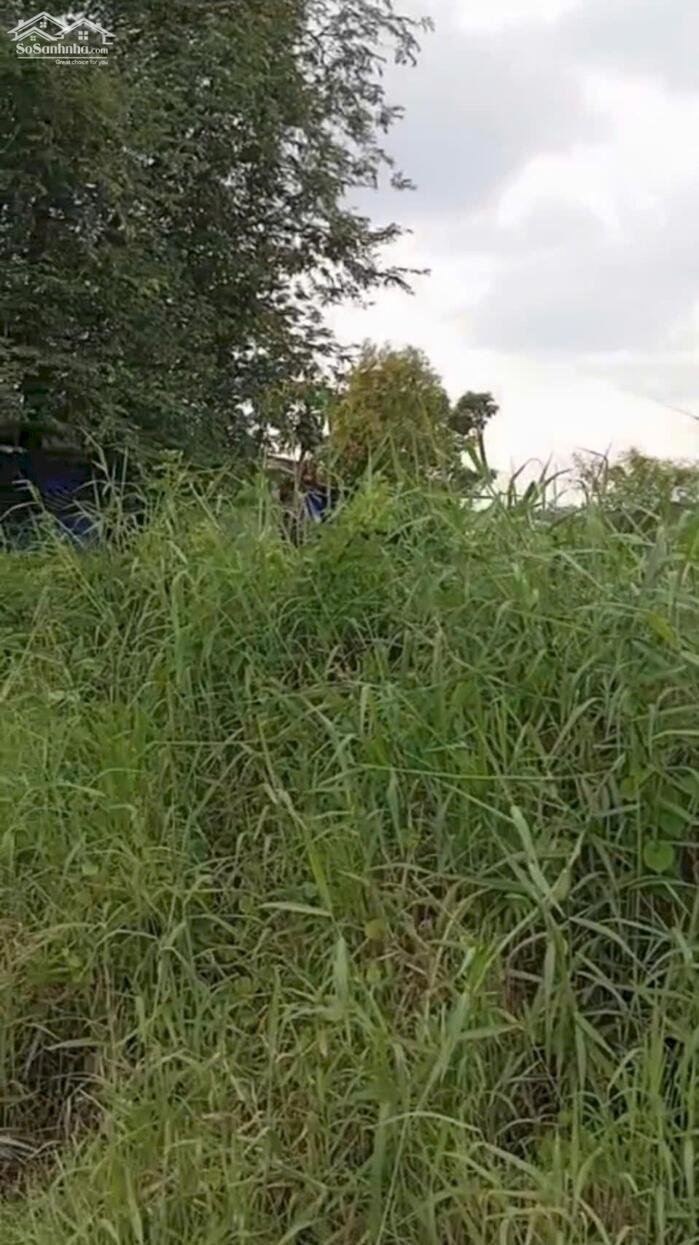 Hình ảnh B.á.n (22x21) đất nền đẹp, ôtô , 2 mặt tiền gần đường HL07, Bình Ân, Gò Công Đông, TG cũ giá 700tr 4