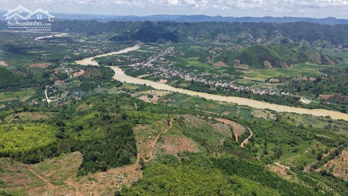 Hình ảnh 82ha giá chỉ 8 tỷ tại xã Quảng Phú Krong Nô tỉnh Đắk Nông cũ 2