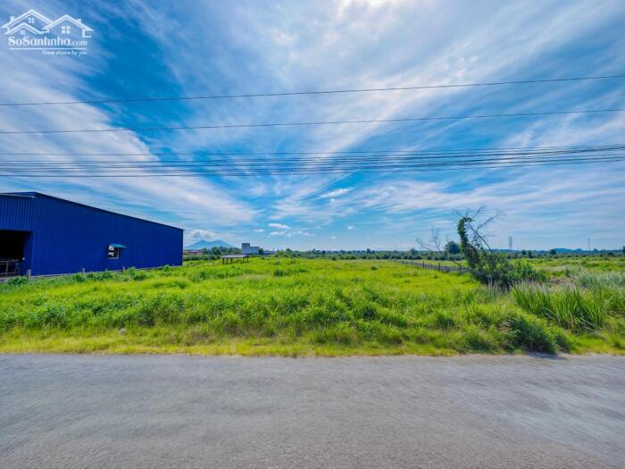 Hình ảnh Bán Gấp Lô Đất Vàng 237m² Mặt Tiền 19m Sổ Hồng Riêng Gần Biển Lagi 3