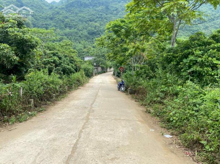 Hình ảnh BÁN LÔ ĐẤT CỰC ĐẸP – BÁM SUỐI – GẦN QL 12B – KIM BÔI, HÒA BÌNH 4