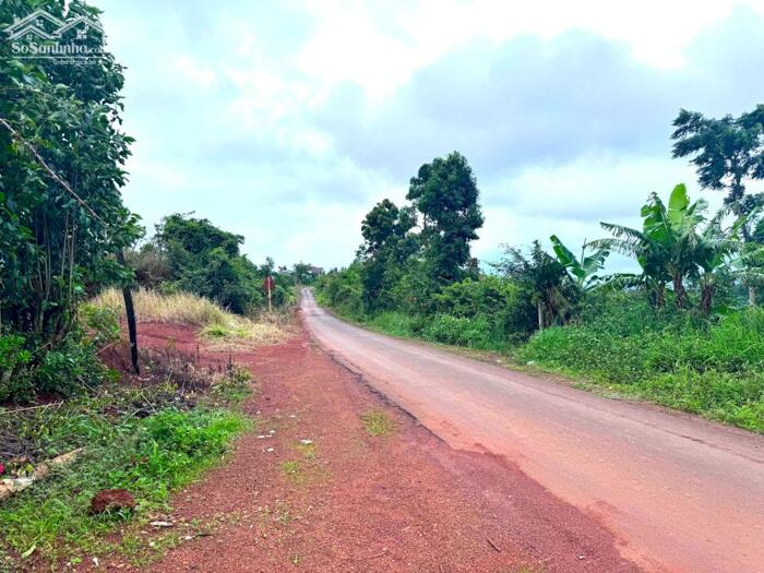 Hình ảnh BDS đường nhựa sát hồ thủy lợi, khu dân cư đông, ven trung tâm 2