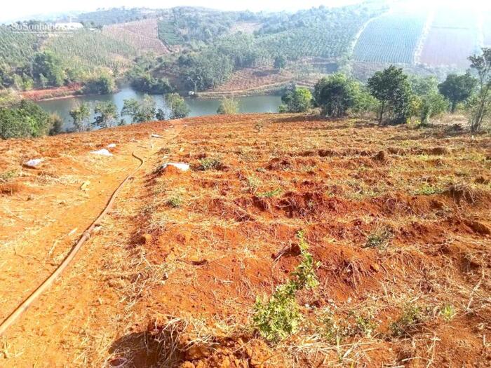 Hình ảnh BDS đường nhựa sát hồ thủy lợi, khu dân cư đông, ven trung tâm 3