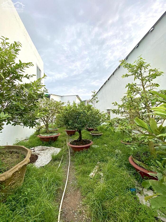 Hình ảnh Nền Trục chính Hẻm 278 đường Tầm Vu - Cách Lộ Tầm Vu Chỉ 50m, P.Tân An Mới 3