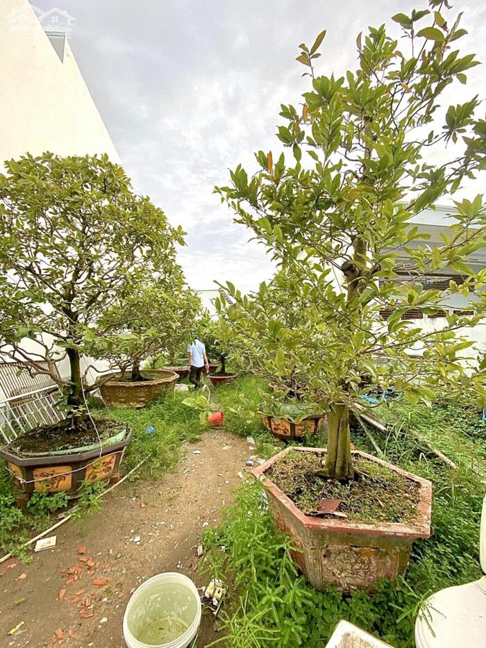 Hình ảnh Nền Trục chính Hẻm 278 đường Tầm Vu - Cách Lộ Tầm Vu Chỉ 50m, P.Tân An Mới 2