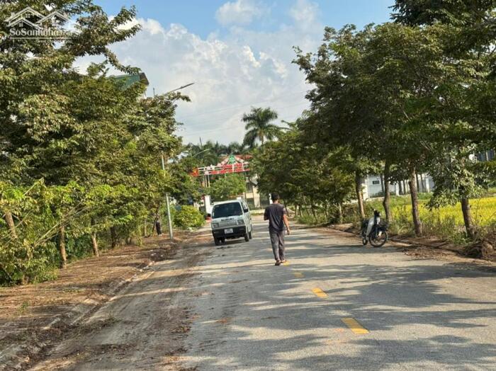 Hình ảnh Bán đất view cánh đồng thoáng mát dịch vụ Lai Sơn, Đồng Tâm, Vĩnh Yên, Vĩnh Phúc 3