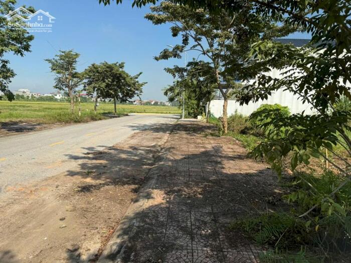 Hình ảnh Bán đất view cánh đồng thoáng mát dịch vụ Lai Sơn, Đồng Tâm, Vĩnh Yên, Vĩnh Phúc 1