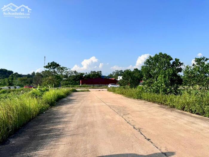 Hình ảnh Bán đất đấu giá Đồng Tướng, Hướng Đạo, Tam Dương, Vĩnh Phúc 1