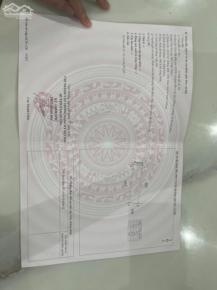 Hình ảnh Bán đất đấu giá Đồng Tướng, Hướng Đạo, Tam Dương, Vĩnh Phúc 3