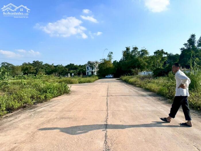 Hình ảnh Bán đất đấu giá Đồng Tướng, Hướng Đạo, Tam Dương, Vĩnh Phúc 2