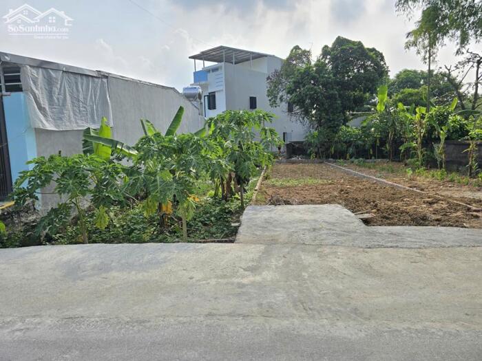 Hình ảnh Bán đất Trục Chính Núc Hạ - Hồ Sơn - Tam Đảo. Kinh Doanh 2 đầu đường trước sau. 4