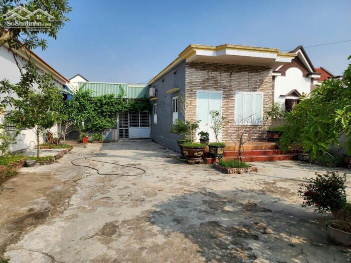 Hình ảnh Bán mảnh đất 500m2 tại Minh tân, Kiến Thụy ô tô đỗ tân cửa 0