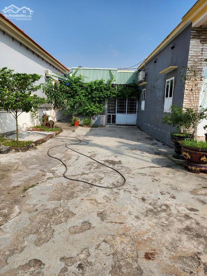 Hình ảnh Bán mảnh đất 500m2 tại Minh tân, Kiến Thụy ô tô đỗ tân cửa 2