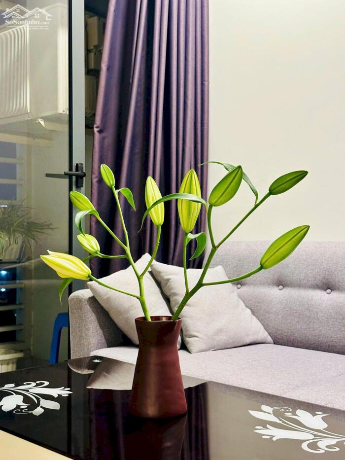 Hình ảnh 500k ngày, đậm chất riêng tư, 55m2 1PN 1WC, cá nhân hoá, tự do với không gian riêng, tiết kiệm thời gian, 0