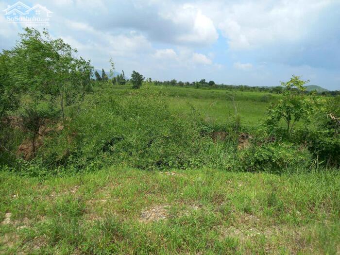 Hình ảnh Đại Hạ Giá-Đất View Suối-Hàm Kiệm(Hàm Cường cũ)-Lâm Đồng-DT 6.900m2CLN 3