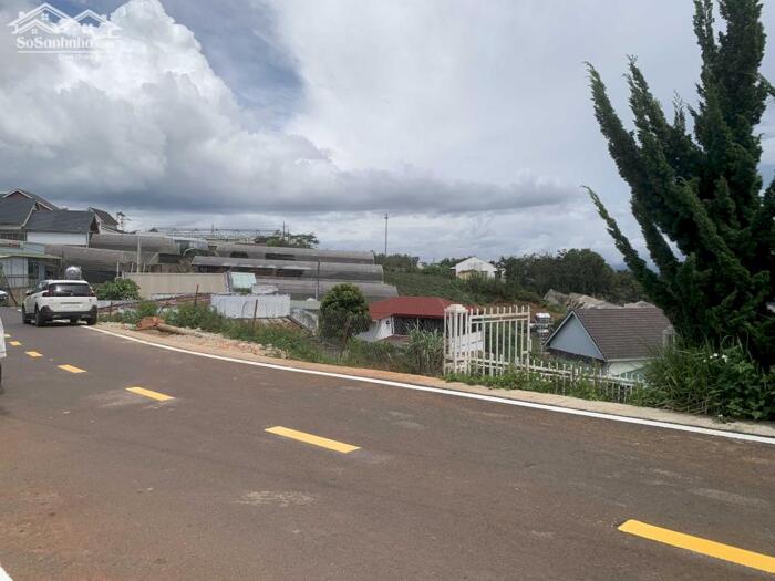 Hình ảnh Bán Đất Ngoại Ô Xã Xuân Thọ, TP. Đà Lạt – View Thông Đẹp, Tiềm Năng Tăng Giá Cao 3