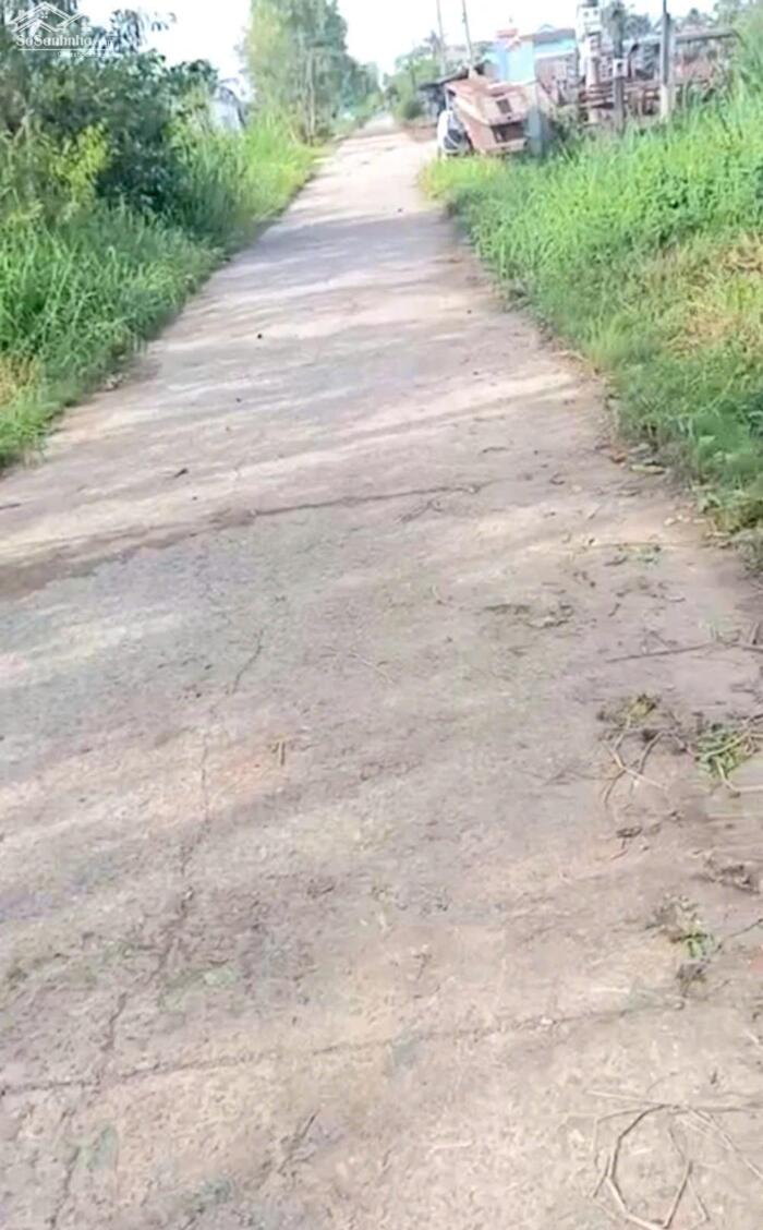 Hình ảnh B.á.n 6,2 công đất nền, mặt tiền ôtô, gần biển Tân Thành - Gò Công Đông, TG cũ 0