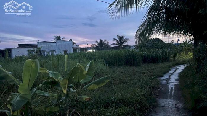 Hình ảnh 320tr b.á.n 338,2m2 đất nền, bao 200m thổ cư, gần Chợ Tân Điền, Gò Công, Tiền Giang. 1