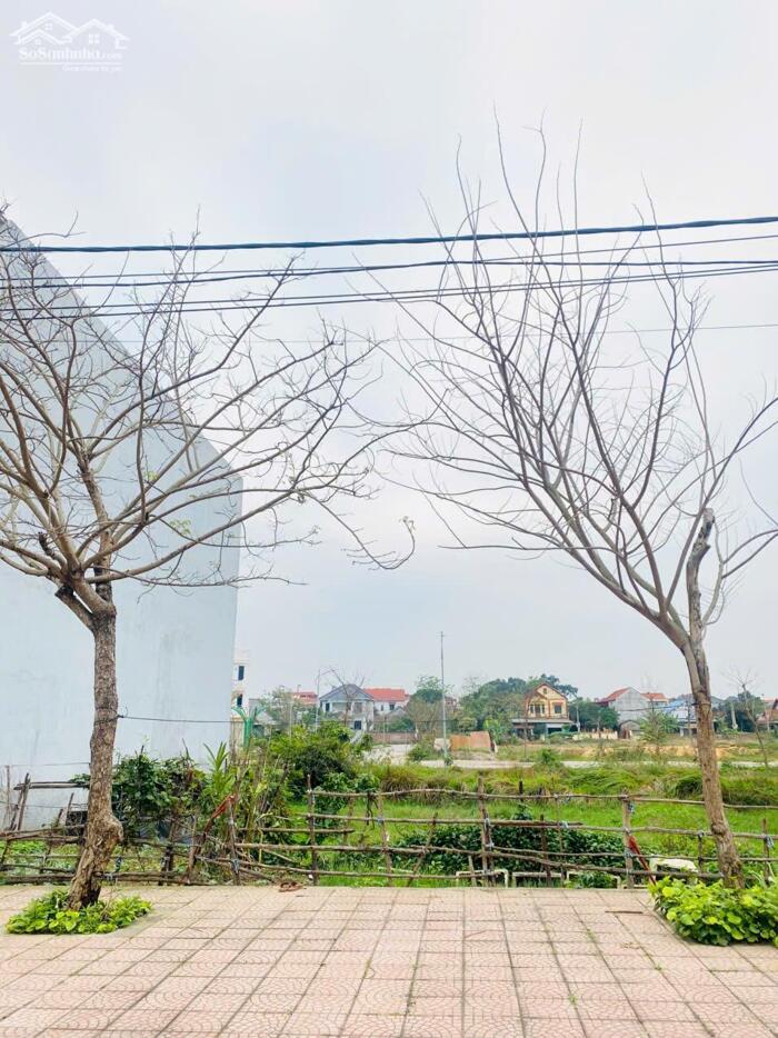 Hình ảnh Bán đất đường 19,5m gần cầu Lính, Lai Sơn, Đồng Tâm, Vĩnh Yên 0