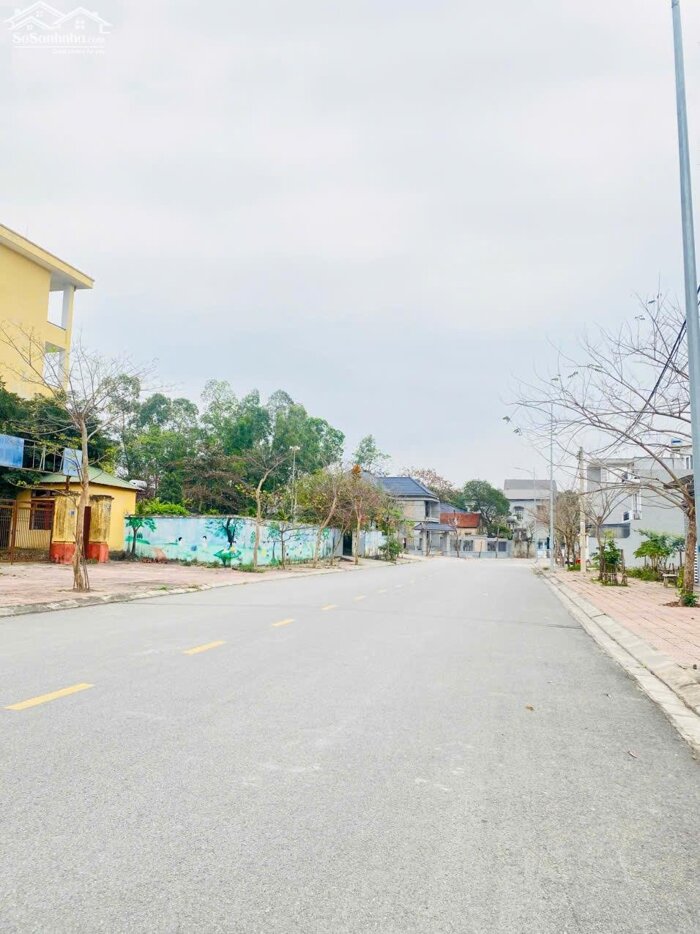 Hình ảnh Bán đất đường 19,5m gần cầu Lính, Lai Sơn, Đồng Tâm, Vĩnh Yên 3