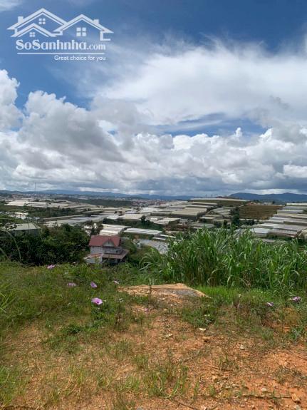 Hình ảnh Bán Đất Đường Huỳnh Tấn Phát, Phường 11, TP Đà Lạt – 348.6m² 4