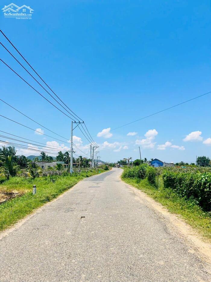 Hình ảnh Bán GẤP đất mặt tiền đường nhựa - Xã Hàm Thuận Bắc ,Phan Thiết ,tỉnh Lâm Đồng giá 4,5 tỷ 0