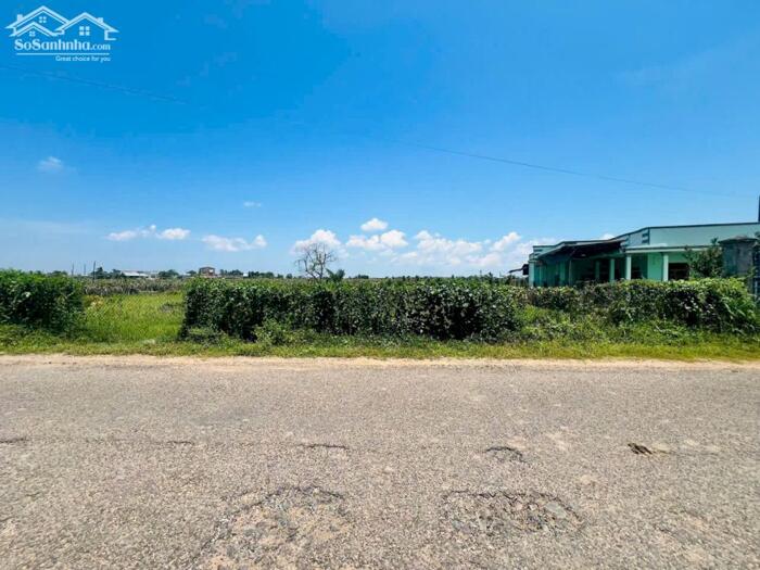 Hình ảnh Bán GẤP đất mặt tiền đường nhựa - Xã Hàm Thuận Bắc ,Phan Thiết ,tỉnh Lâm Đồng giá 4,5 tỷ 3