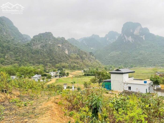 Hình ảnh Cần bán gấp lô đất giá siêu rẻ chỉ 650k/m 4