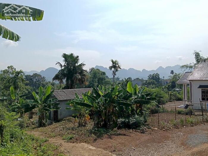 Hình ảnh Đất Dứng Ổi – Kim Bôi: Mua là Lời, Đừng Ngại Vợ! 2