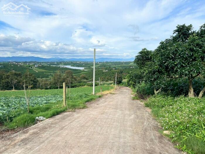 Hình ảnh Deal siêu tốt view hồ Phúc Thọ-Lâm Hà DT 1000m2 sẵn 100m2 thổ cư chỉ 850tr 2