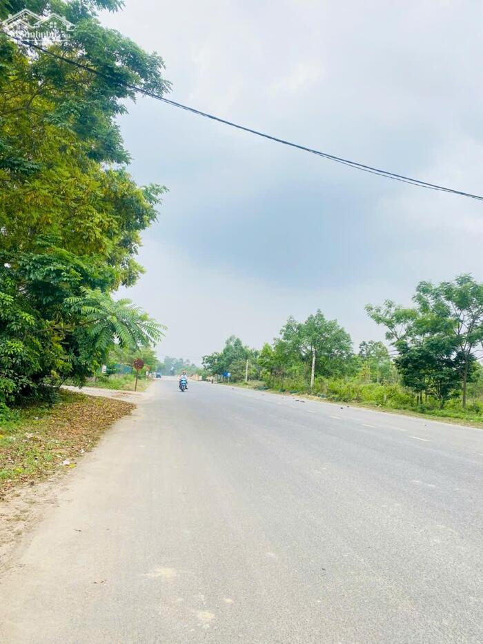 Hình ảnh Bán đất mặt đường 302C, Khai Quang, Vĩnh Yên, Vĩnh Phúc 2