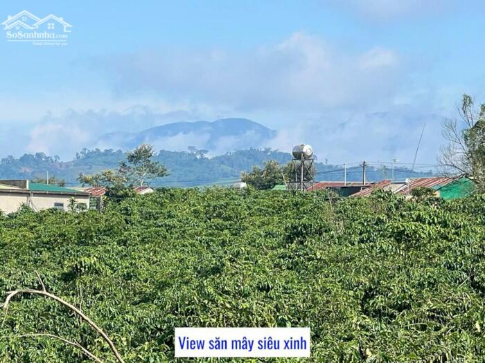 Hình ảnh Chỉ còn duy nhất 3 lô 1000m2 sẵn 100m2 thổ cư view hồ mặt tiền đường bê tông ôtô tới đất view thoáng đẹp 4