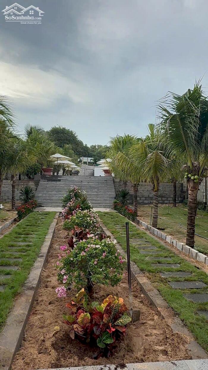 Hình ảnh Bán đất View BIỂN -Mặt tiền đường Trần Lê nối dài ,Vị trí thôn Tiến Bình -Tiến Thành ,tỉnh Lâm Đồng 1