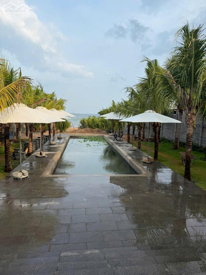 Hình ảnh Bán đất View BIỂN -Mặt tiền đường Trần Lê nối dài ,Vị trí thôn Tiến Bình -Tiến Thành ,tỉnh Lâm Đồng 0