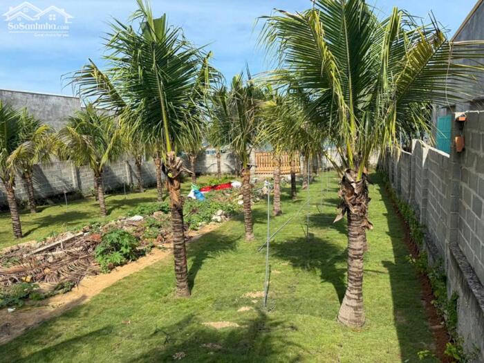 Hình ảnh Bán đất View BIỂN -Mặt tiền đường Trần Lê nối dài ,Vị trí thôn Tiến Bình -Tiến Thành ,tỉnh Lâm Đồng 2