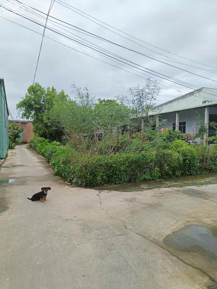 Hình ảnh Đất hẻm ô tô đường Nguyễn Quang Đại P5 TP Tân An 1