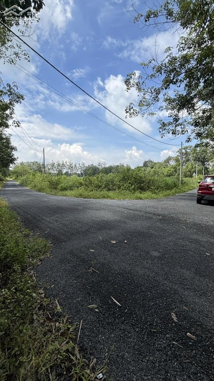 Hình ảnh Bán đất An Nhơn Tây Củ Chi mặt tiền đường nhựa an nhơn tây gần khu tái định cư Safari 0