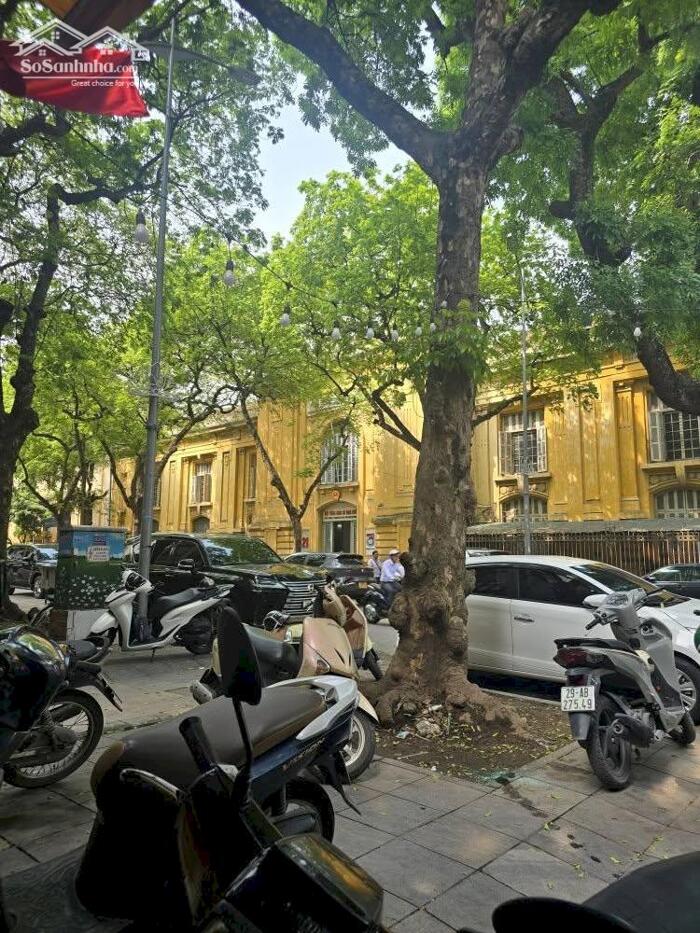 Hình ảnh Bán Nhà Phố Lê Thánh Tông Hoàn Kiếm 35m2-4T 1 SỔ 1 CHỦ 14,3 Tỷ Có Thương Lượng. 5