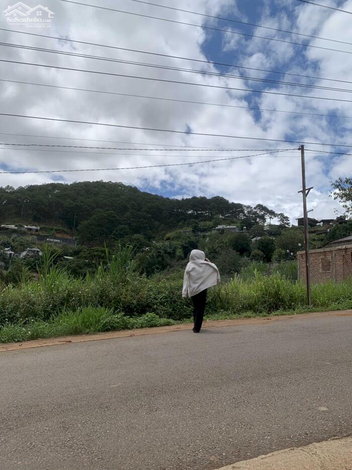 Hình ảnh Bán Đất Biệt Thự View Rừng Thông – Xã Xuân Thọ (Phường Xuân Trường), TP. Đà Lạt 1